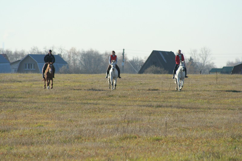 IMG_1022.jpg1.jpg"%20height="533"%20width="800